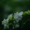 without love