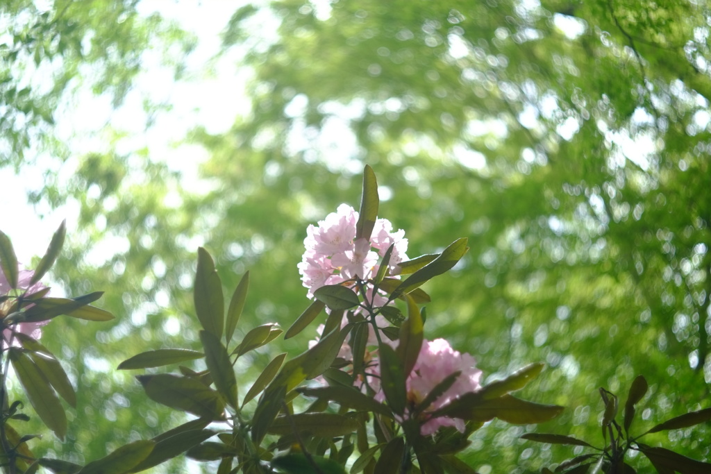 早く帰って