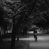 散歩がてら