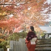 来年もね