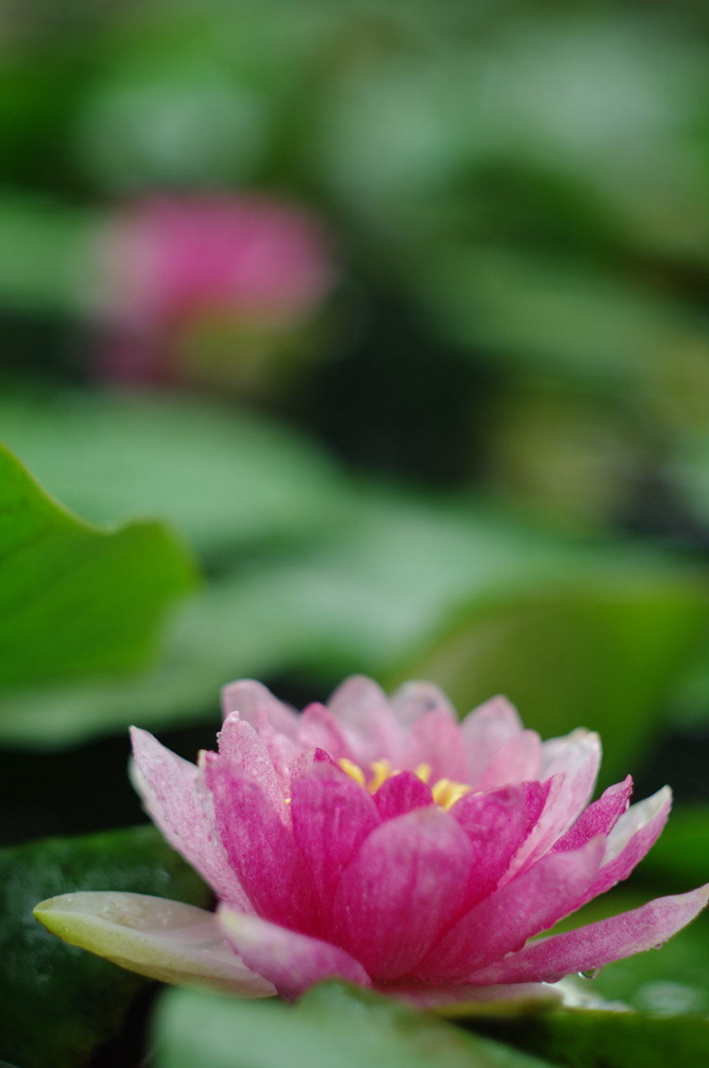 食欲