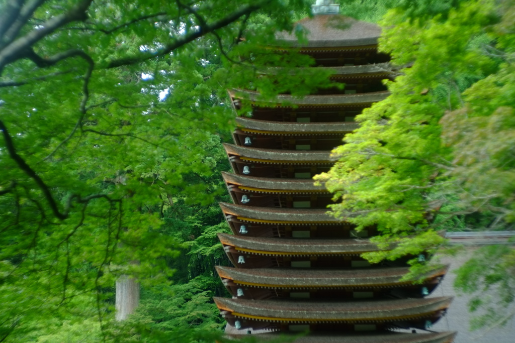 もう何年経つのか
