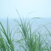 海もようこそ