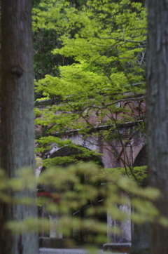 上手くなくても