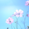 涙脆い