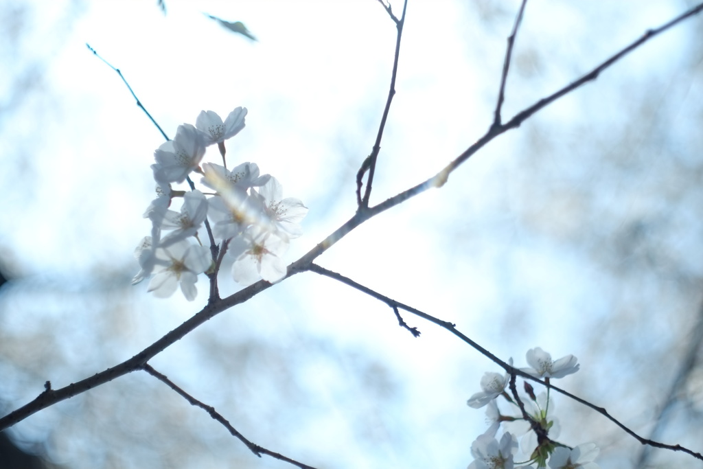 一人じゃ嫌