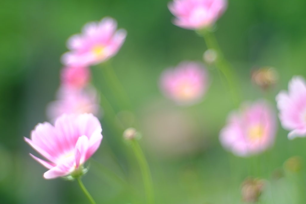 感じさせて