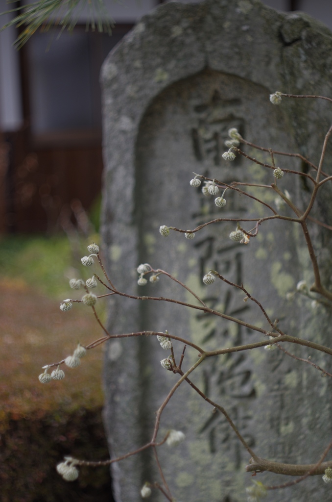 神頼みか