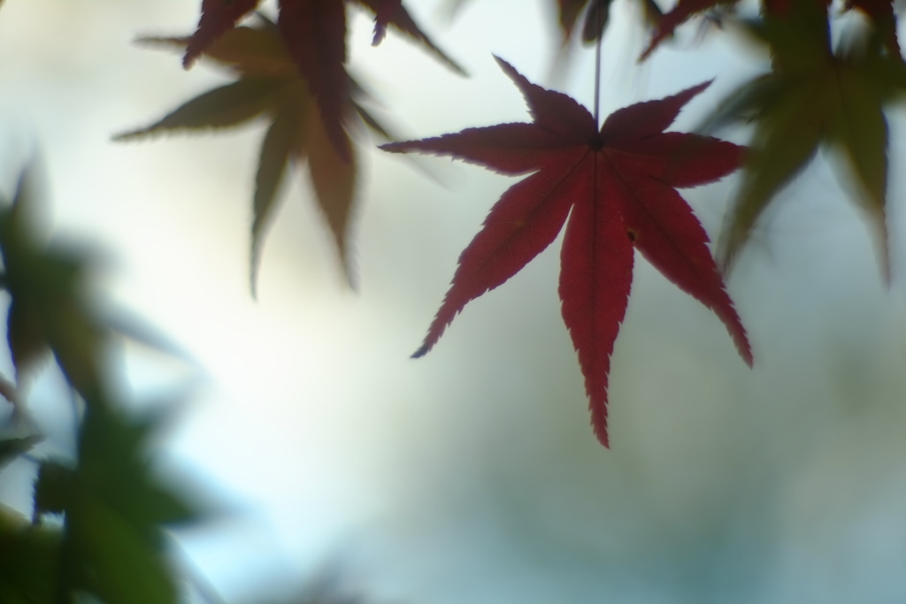 心を閉じたまま