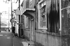 古道に鼓動