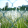 追い詰められて