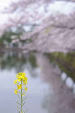 バックナンバー