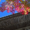 コラボの空