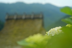 雨は近くに