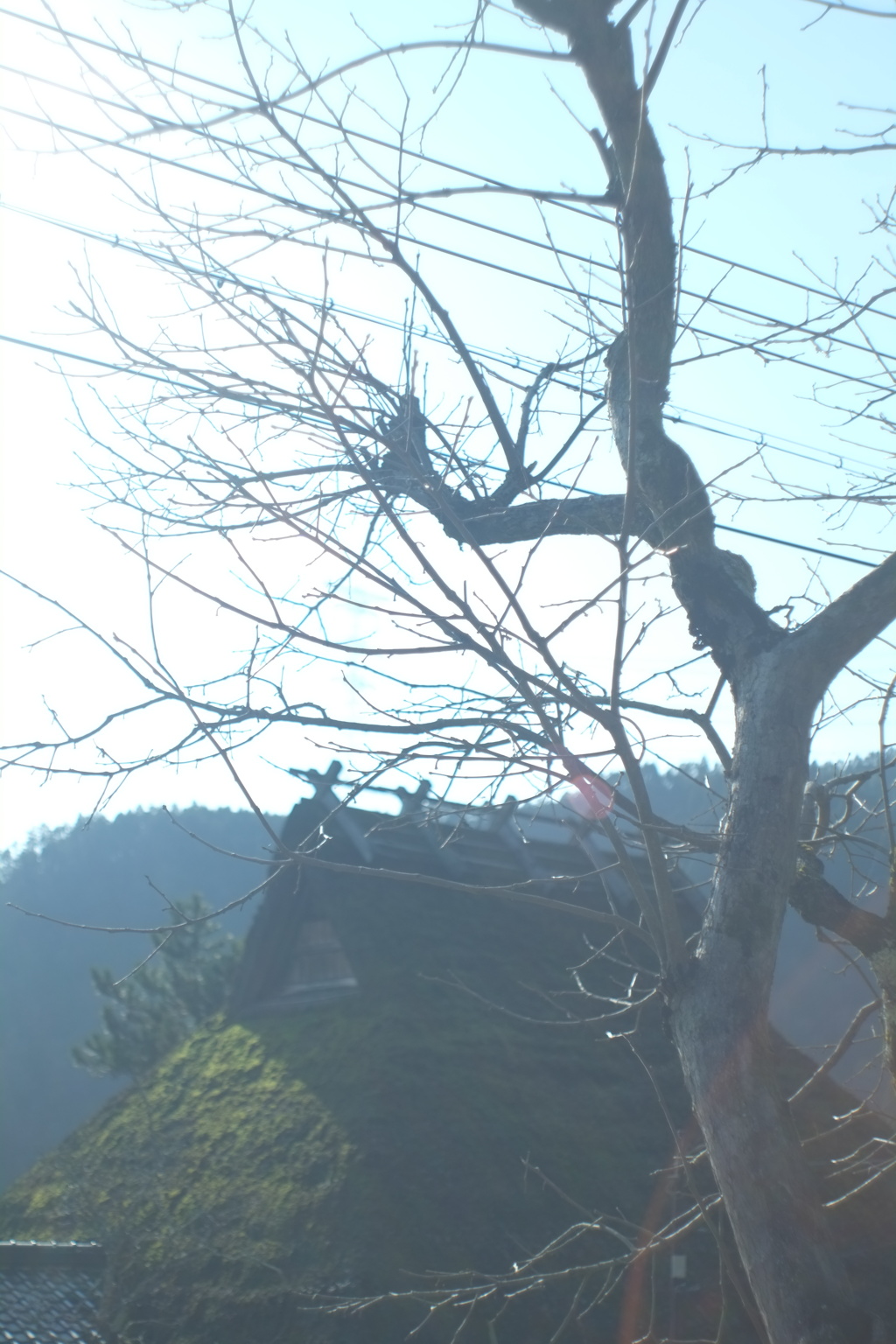 季写