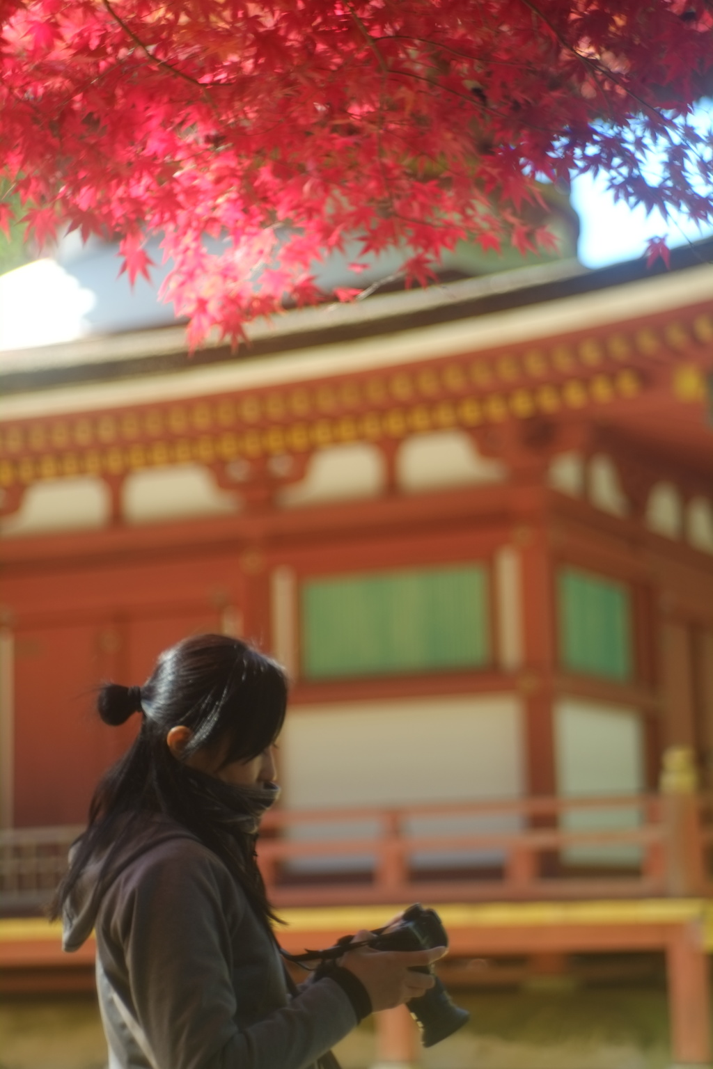捧げる