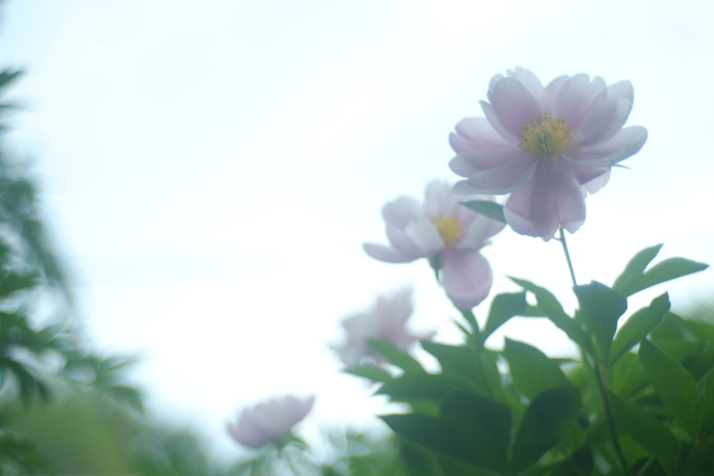 いつまでも