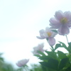 いつまでも