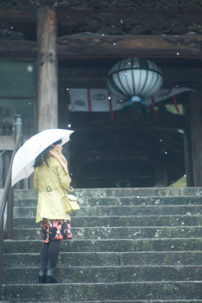 雨と花と