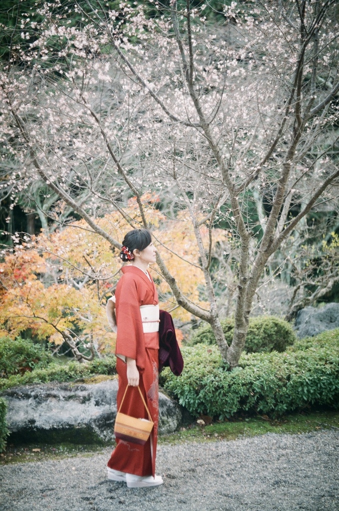 桜紅和