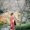 桜紅和