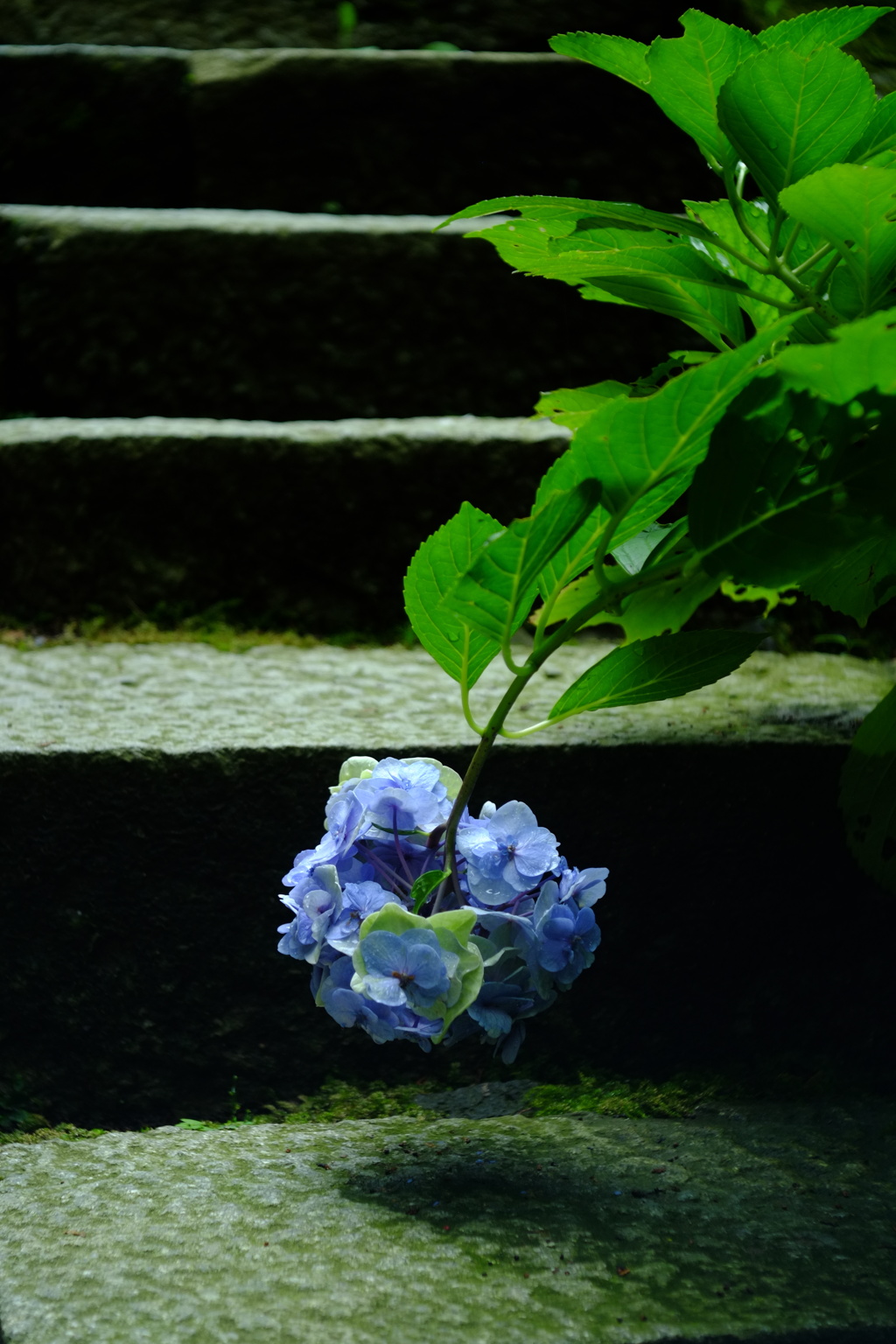 夏の終わりに