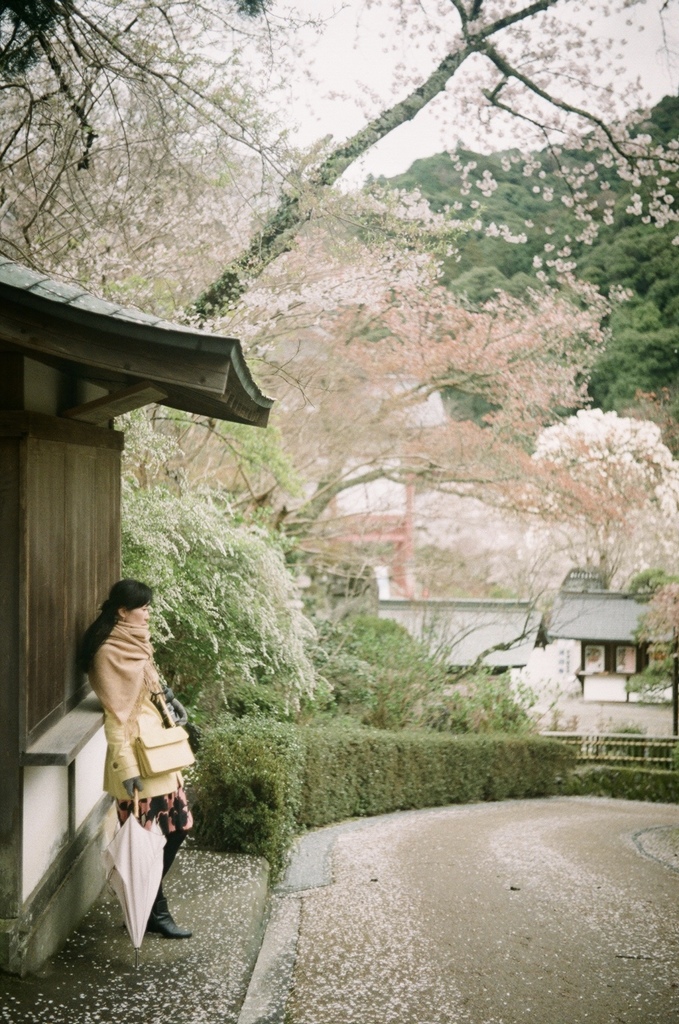 雨花見２