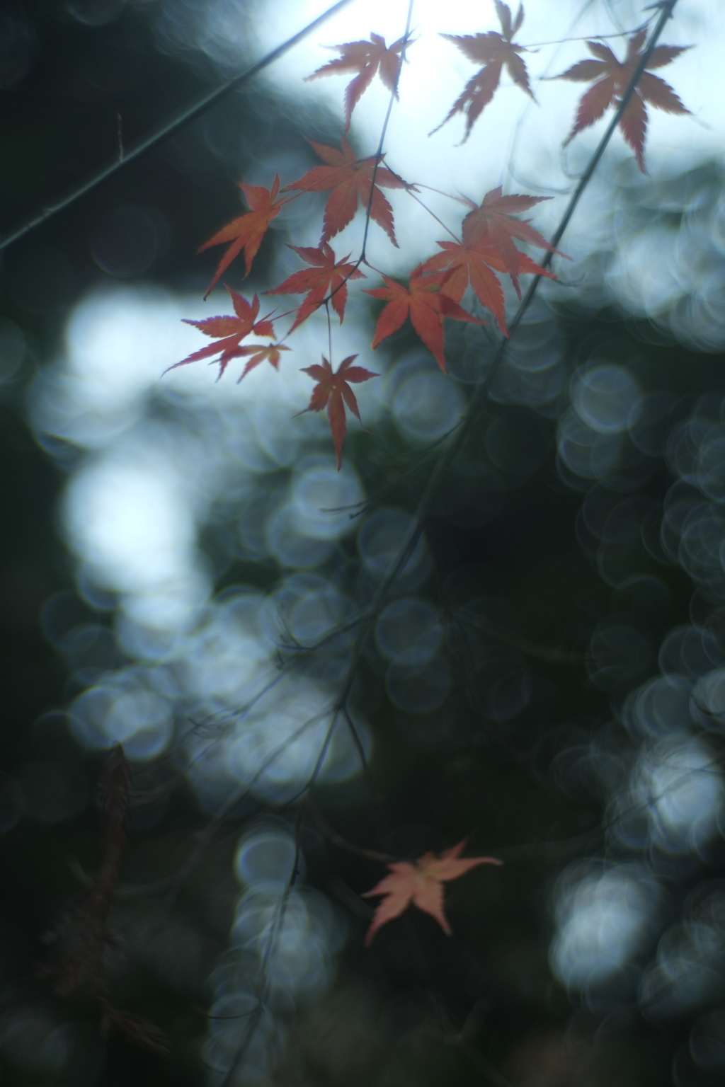 人は誰もただひとり
