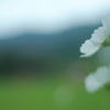 静かに