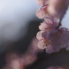 私だけ愛して