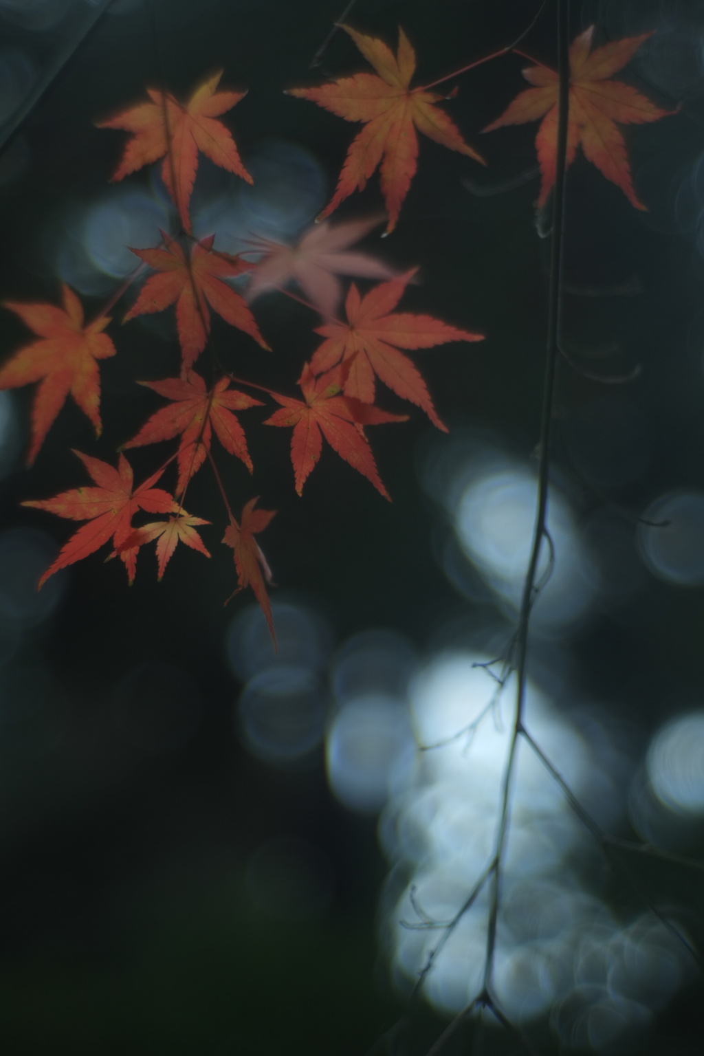 忘年