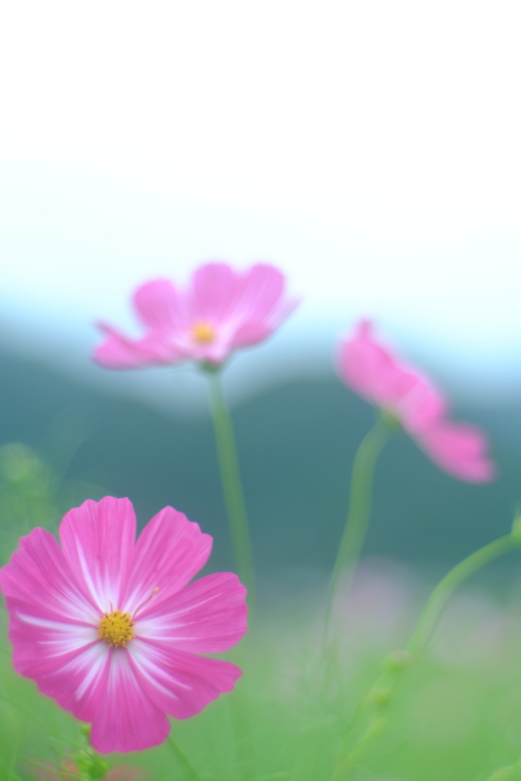 消えて無くなる