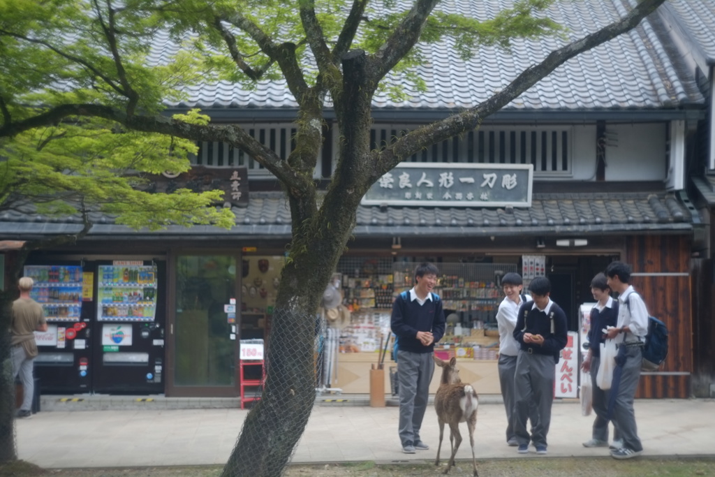 修学旅行