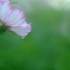 もうこんなに