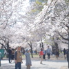 イキレルノカ