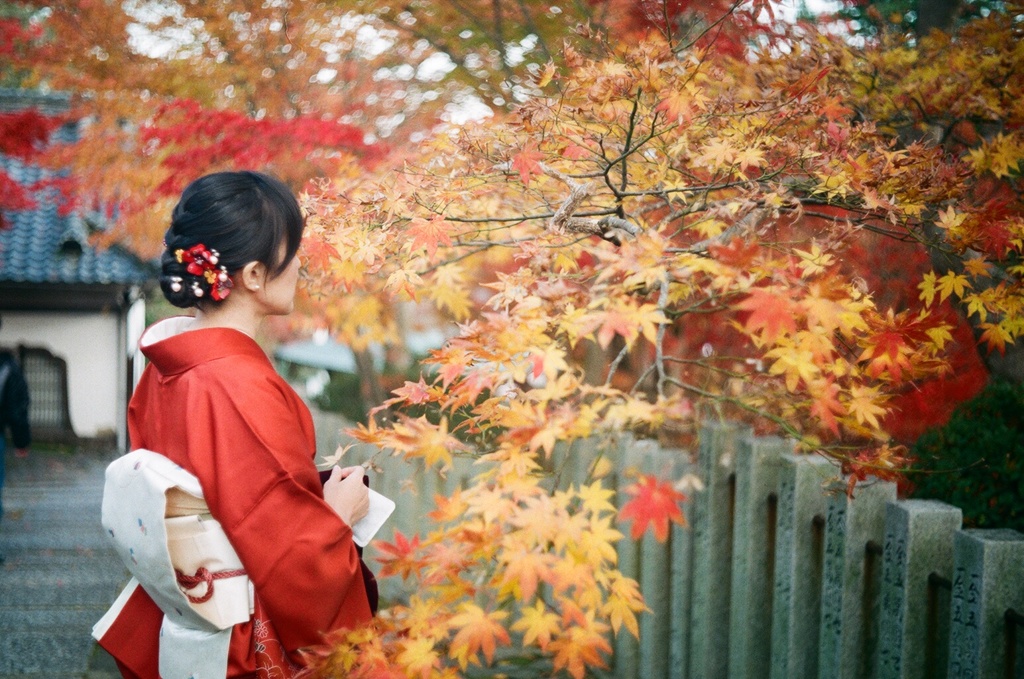 秋惜