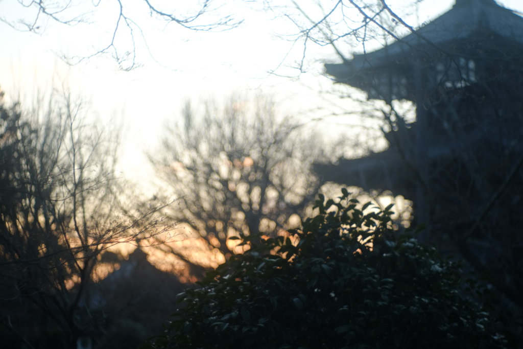 彩り