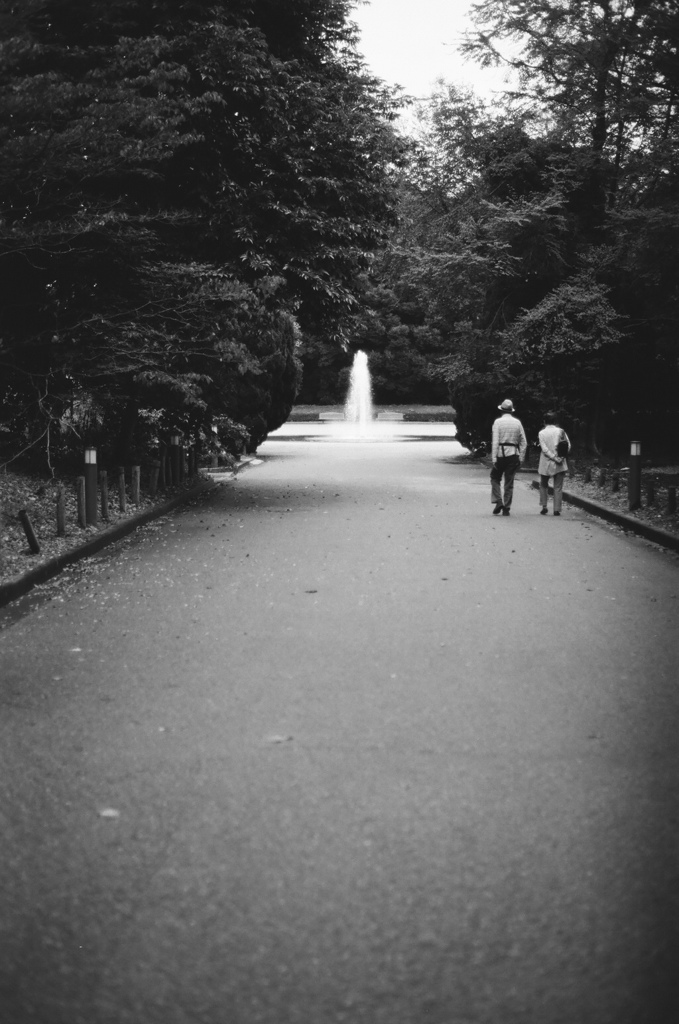 公園の愛