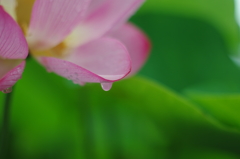 性欲