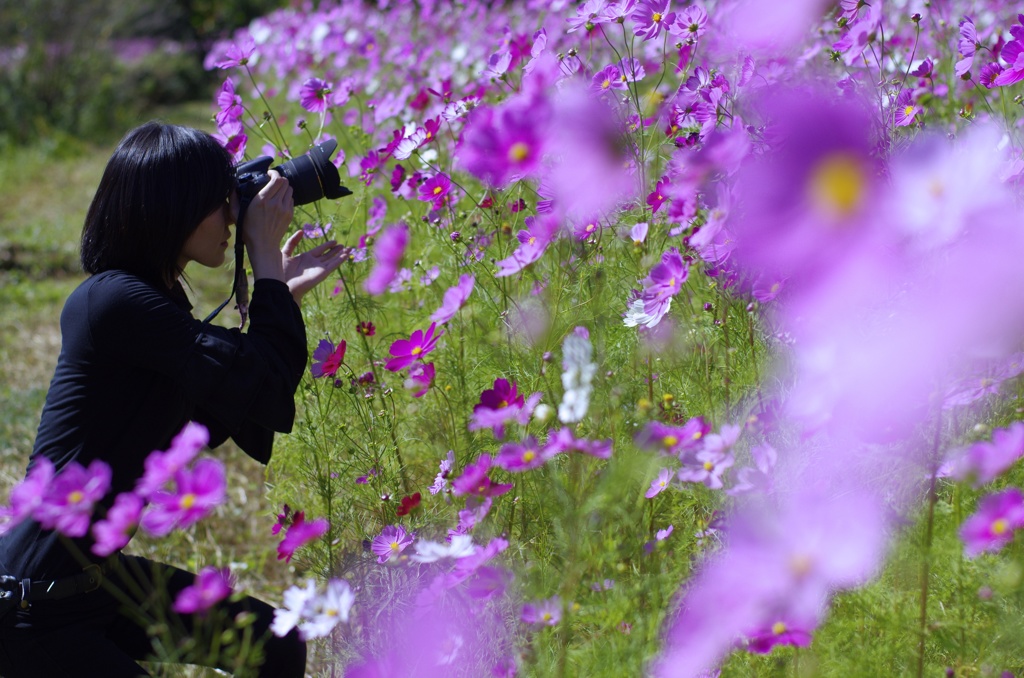 いい写真撮ってね