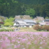 懐かしい日々