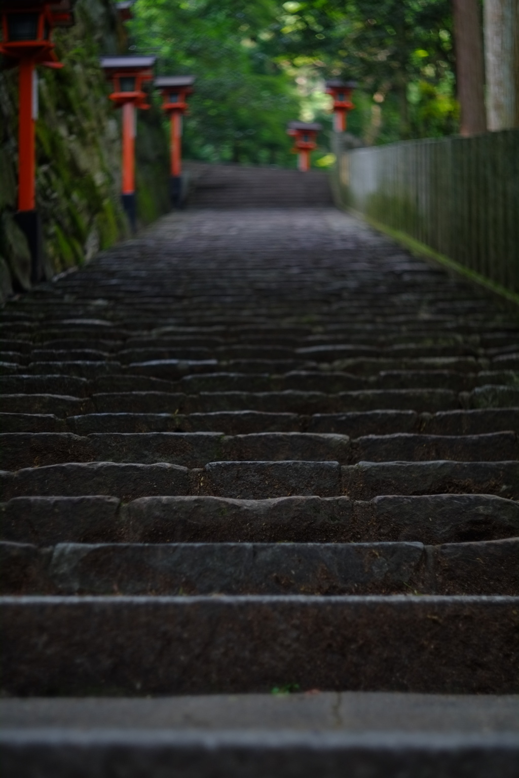 どこまで登るのか