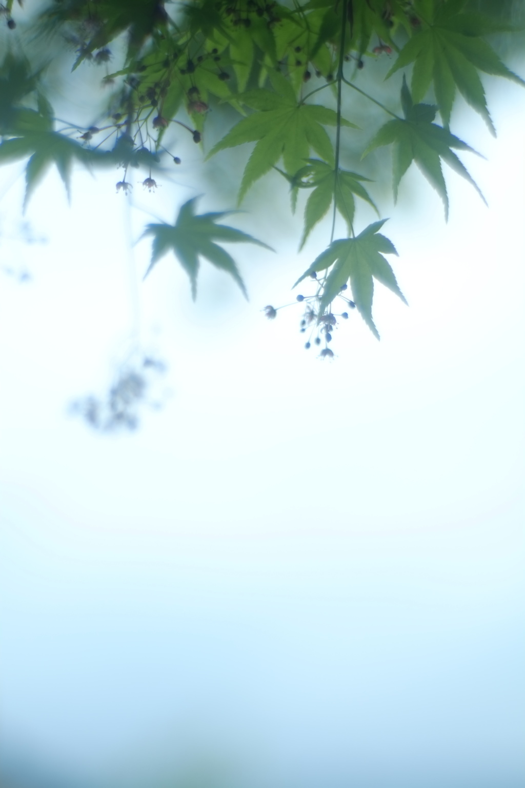 一人で
