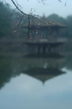 たどり着いたらいつも雨