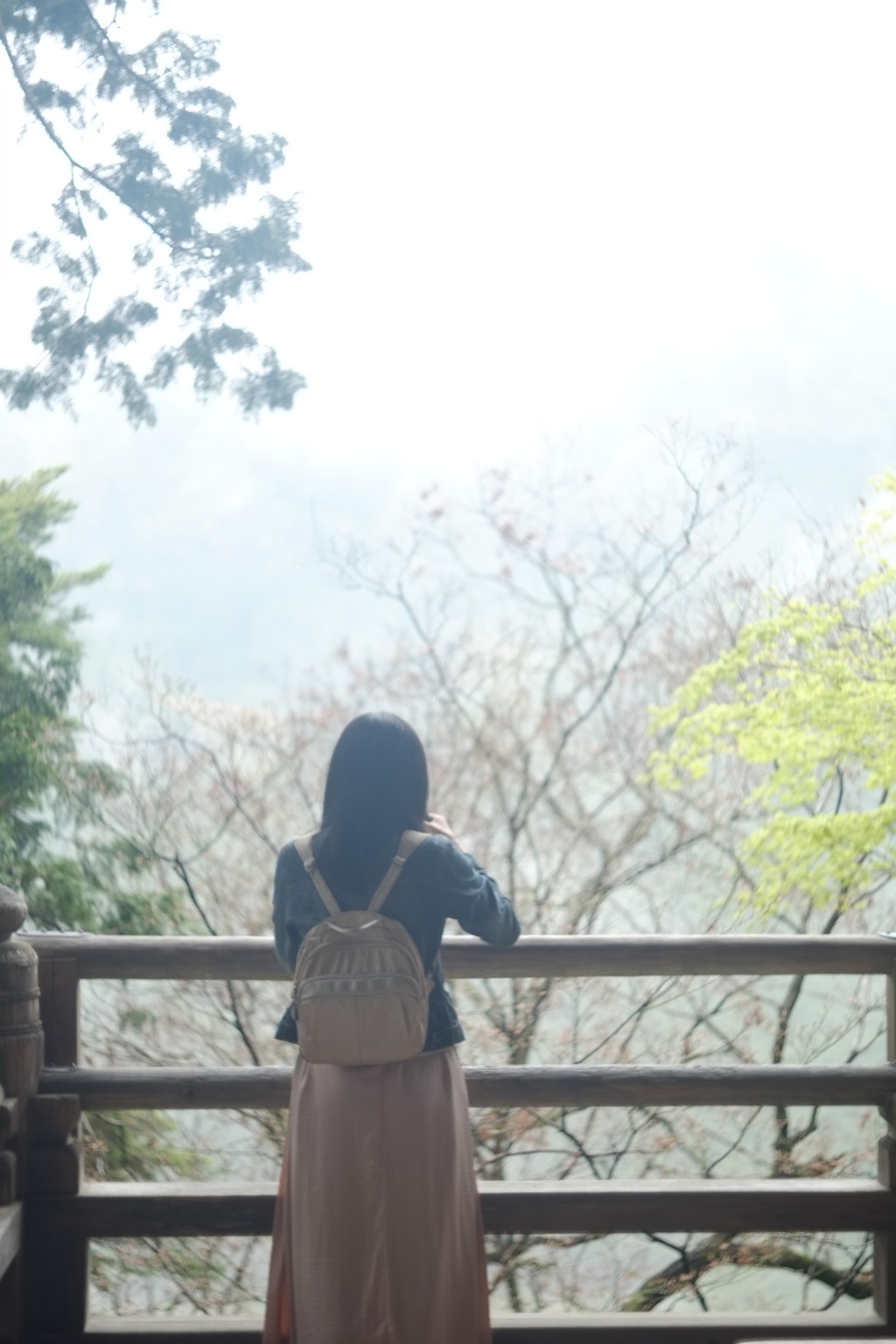 雨が萌える