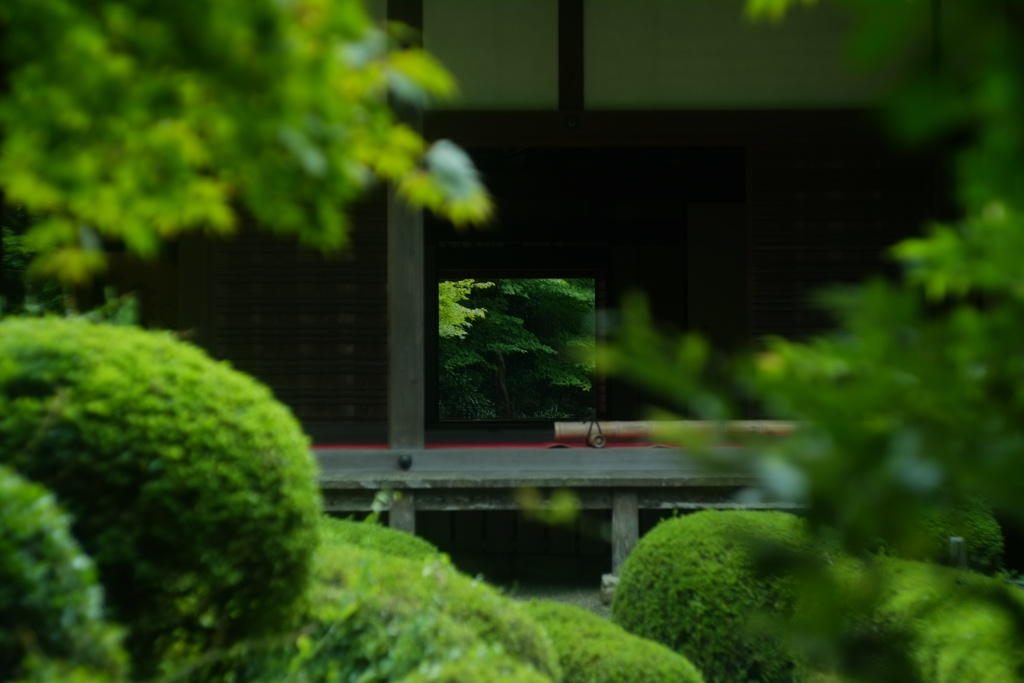 祈ったのに