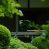 祈ったのに