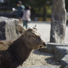 なんだあ