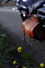 バイクボケでもあります