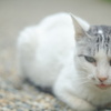 元気でいるか？
